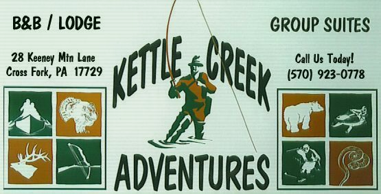 Welcome to Kettle Creek Adventures - In the heart of Susquehannock State Forest!